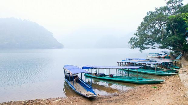 Rekomendasi Tempat Wisata Safari ala 'The Lion King' di Asia