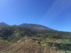 Tak Ada Lagi Bara Api, Pemadaman Kebakaran Gunung Arjuno Dihentikan