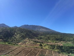 Tak Ada Lagi Bara Api, Pemadaman Kebakaran Gunung Arjuno Dihentikan