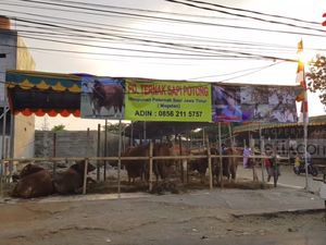 Gara-gara Sapi, Camat Matraman Diminta Dievaluasi