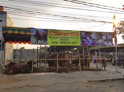 Gara-gara Sapi, Camat Matraman Diminta Dievaluasi