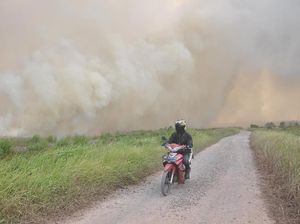 Mengerikan! Begini Saat Lahan Gambut Dilahap Api