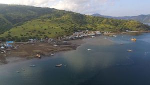 Foto: Desa Komodo yang Menolak Pindah