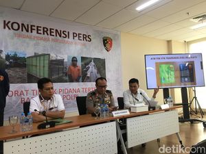 Polri Ungkap Pembalakan Liar di Jambi-Sumsel, 2 Ribu Kubik Kayu Diamankan