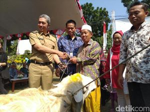 Pemkot Bogor Imbau Pembagian Daging Kurban Tak Pakai Kantong Plastik