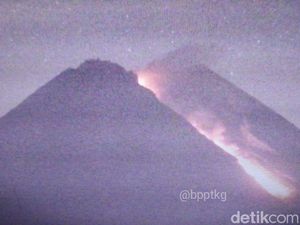 Gunung Merapi Luncurkan Awan Panas Sejauh 950 Meter