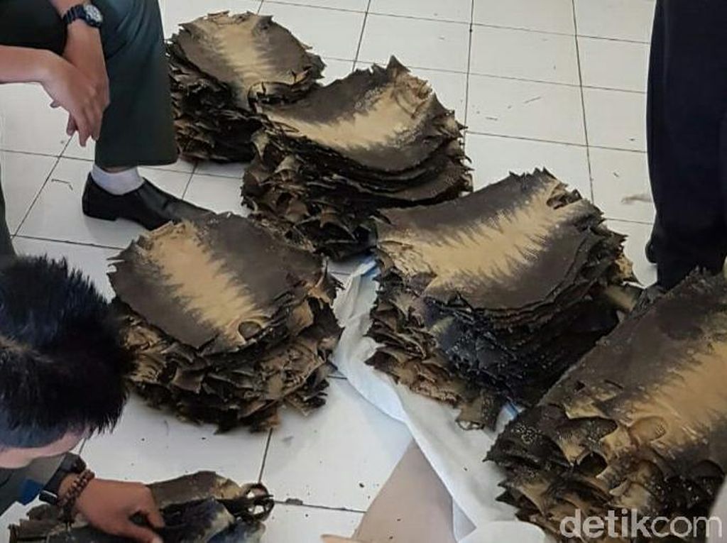 Penyelundupan Ratusan Kulit Biawak via Bandara Banyuwangi Digagalkan Penyelundupan Ratusan Kulit Biawak via Bandara Banyuwangi Digagalkan