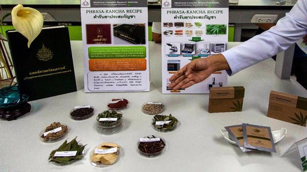 Pertama di ASEAN, Thailand Legalkan Ganja Untuk Medis