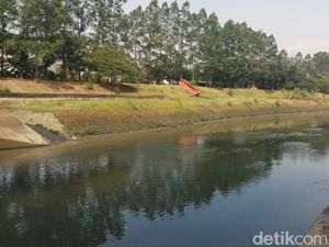 Busa Sempat Muncul di Pintu Air Malaka Sari BKT, Ini Penyebabnya