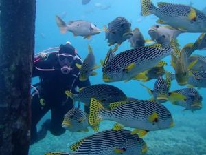 Spot-spot Snorkeling Cakep di Raja Ampat