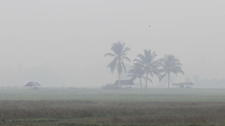 Pesawat dari Palembang Batal Mendarat di Jambi Gara-gara Kabut Asap Pesawat dari Palembang Batal Mendarat di Jambi Gara-gara Kabut Asap
