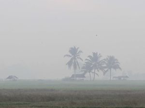 KLHK Sebut Luas Karhutla Sejak Januari-Juli 2019 Capai 135.747 Hektare