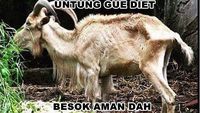 Jelang Idul Adha Ini Meme Hewan Kurban Bikinan Netizen