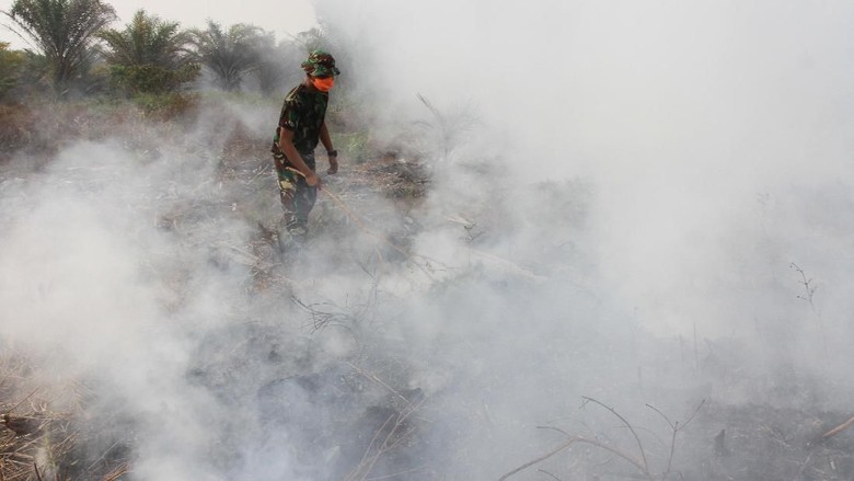 Kabut Asap Makin Pekat, Murid Taman Kanak-kanak dan SD di Pontianak Diliburkan