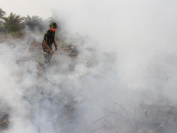 Muncul 116 Titik Panas Karhutla di Riau Pagi Ini