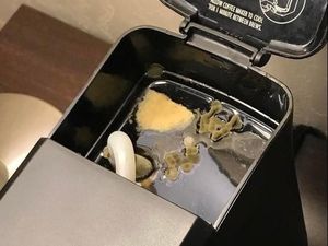 Astaga! Tamu Hotel Ini Temukan Jamur di Mesin Pembuat Kopi