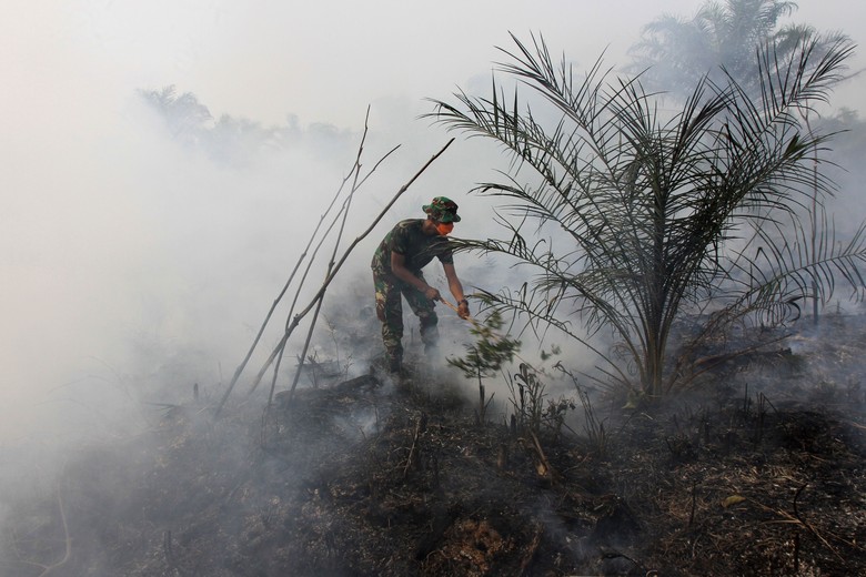 Hari Ke-10 Pemadaman Kebakaran Lahan Gambut di Riau