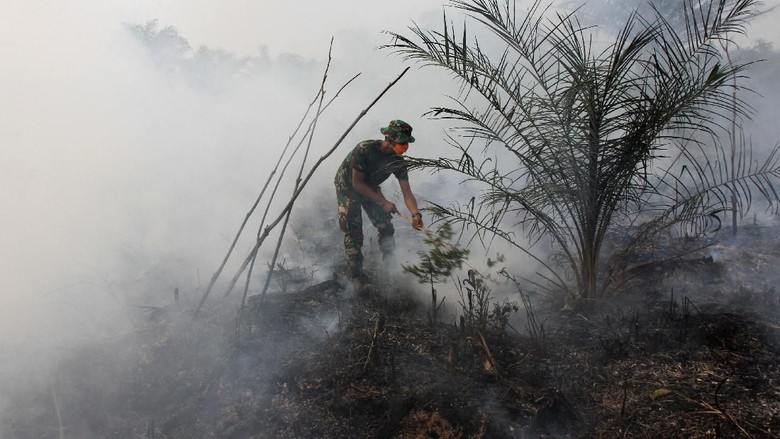 Polri: Jumlah Hotspot di Kalteng dan Kalbar Bertambah