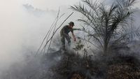 Upaya Pemadaman Karhutla di Aceh Masih Terkendala