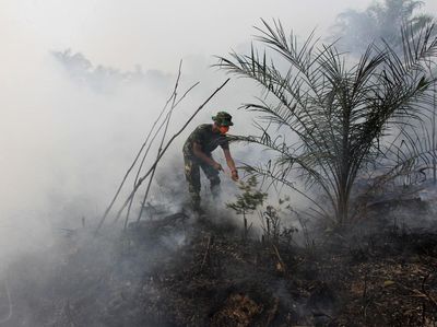 Upaya Pemadaman Karhutla di Aceh Masih Terkendala