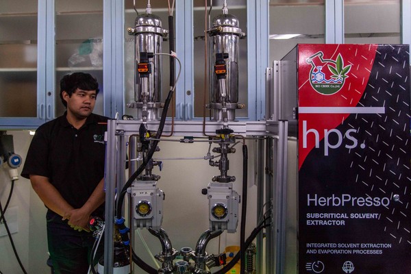 Thailand Legalkan Ganja Untuk Keperluan Medis 62922231 17e3 4d8a 85bd 0665006d70f7 - Thailand Legalkan Ganja Untuk Keperluan Medis