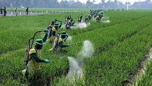 5000 Petani Catatkan Rekor MURI