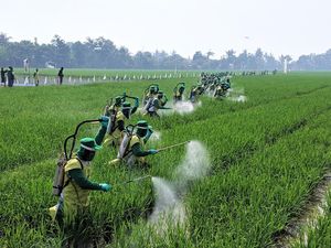 5000 Petani Catatkan Rekor MURI