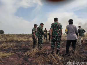 Cek Kebakaran Lahan Dekat Tol Palindra, Pangdam Sriwijaya Pastikan Api Padam