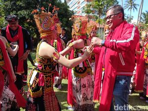 Serunya Hasto hingga Putra Nababan Menari Gandrung Banyuwangi