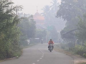 Kapolri: Penyebab Karhutla 90% Ulah Manusia