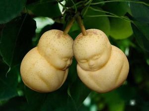 10 Buah Berbentuk Tak Wajar Ini Bikin Orang Tercengang