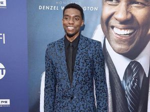 Ini Proyek Terakhir Chadwick Boseman Sebelum Meninggal Ini Proyek Terakhir Chadwick Boseman Sebelum Meninggal