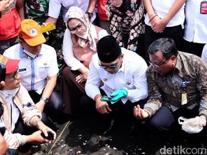 Ridwan Kamil Beri Target Pertamina 14 Hari Selesaikan Tumpahan Minyak