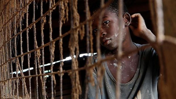 1.800 Orang Tewas Akibat Wabah Malaria di Afrika