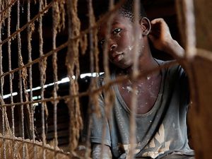 1.800 Orang Tewas Akibat Wabah Malaria di Afrika