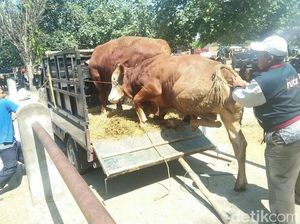 Pemkab Sragen Imbau Pembagian Daging Kurban Tak Pakai Plastik