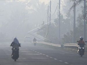 Aceh Barat Tetapkan Status Siaga Darurat Kabut Asap Aceh Barat Tetapkan Status Siaga Darurat Kabut Asap