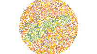 Tes Buta Warna, Siapa Bisa Tebak Hewan Apakah yang Ada di Gambar Ini?