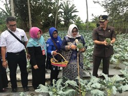 Pertamina Bantu Emak-emak di Kalsel Budidaya Jahe Lewat Urban Farming