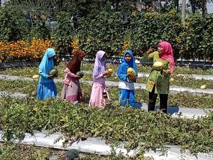 Resmikan Kebun Bunga Dewi Cemara, Khofifah: Inovasi Harus Digalakkan Resmikan Kebun Bunga Dewi Cemara, Khofifah: Inovasi Harus Digalakkan
