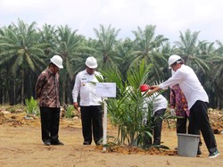 Kementan Buka Rahasia di Balik Naiknya PDB Pertanian