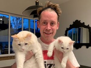 Kutukan Home Alone, Film Natal yang Jadi Favorit