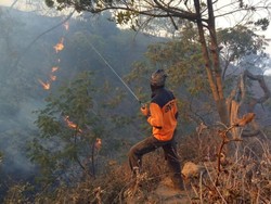 Kebakaran Gunung Ciremai Meluas 300 Ha, Aparat Lakukan Penyekatan