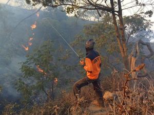 Kebakaran Gunung Ciremai, Petugas Berusaha Padamkan Satu Titik Api Terakhir Kebakaran Gunung Ciremai, Petugas Berusaha Padamkan Satu Titik Api Terakhir