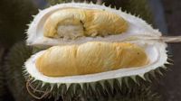 Penjual Durian Ini Dapat Untung Rp. 27 Milliar Per Bulan