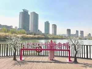 Bukan di Jepang, Ini Sakura di Korea Selatan
