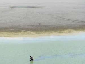 Memprihatinkan! 1,7 Miliar Orang di 17 Negara Terancam Kekeringan