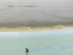 Memprihatinkan! 1,7 Miliar Orang di 17 Negara Terancam Kekeringan