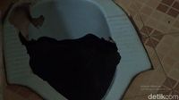 Ini Lubang WC Tempat Ular Sanca 4 Meter Mendadak Nongol