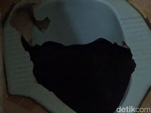 Ini Lubang WC Tempat Ular Sanca 4 Meter Mendadak Nongol